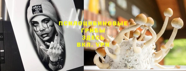 гашик Аркадак