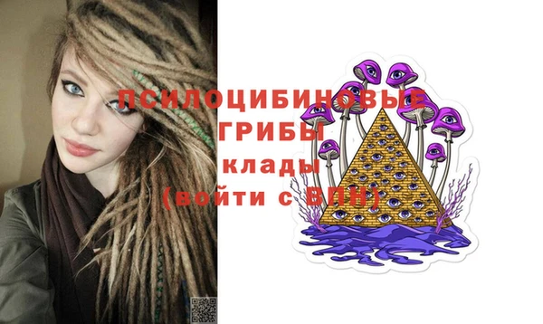 гашик Аркадак