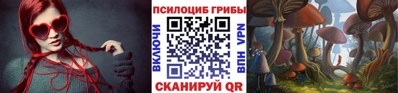 Псилоцибиновые грибы Cubensis Горбатов